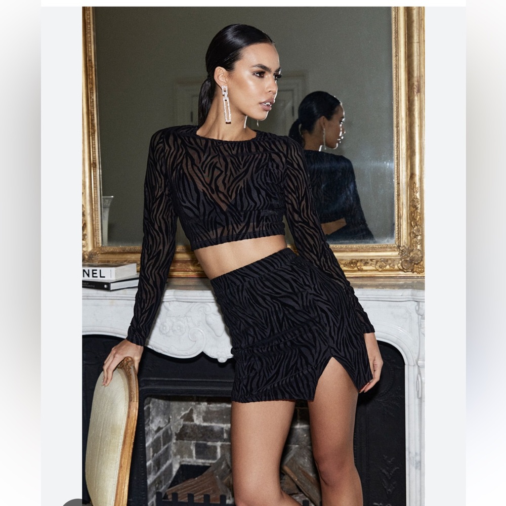 Showpo Mesh Long Sleeve Crop Top and Mini Skirt Set in Black Zebra